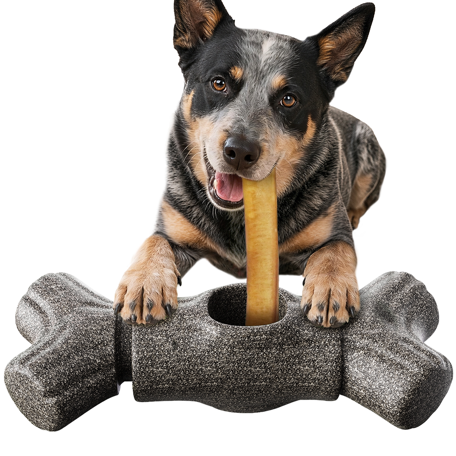 KADTC 2 in 1 Extra-Large Size Durable Dog Bully Stick Holder & Indestructible Chew Toy